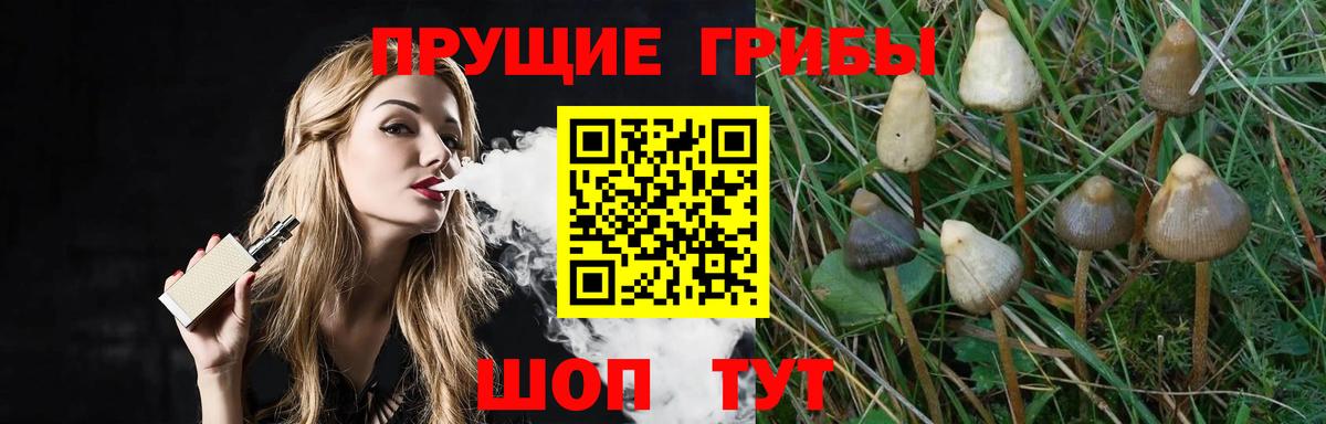 Галлюциногенные грибы прущие грибы  Вход с VPN  Галлюциногенные грибы Psilocybe  Арзамас 